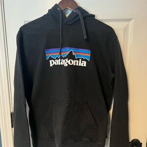 Patagonia Black Hoodie with Multicolor Logo